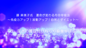 45-足底の膝皿付けねじり脇腹伸ばし呼吸法ストレッチ～体のゆがみとり～